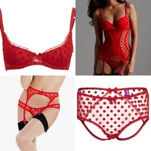 NWT 5-piece LOT AGENT PROVOCATEUR Roslyn Coordinates 32B / S / XS